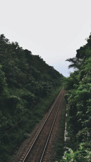Railway Trees Road Full HD Wallpapers Download