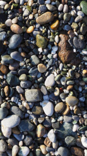 Sea, Stones, Shore, Wet Wallpapers Free Download