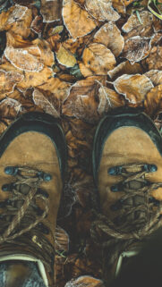 Shoes Autumn Legs Foliage Wallpapers Free Download