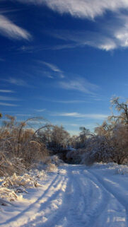 Sky, Winter, Snow, Road Wallpapers Download