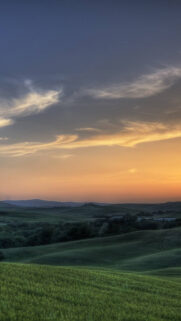 Sun Rising Meadows Ultra HD Wallpapers Download