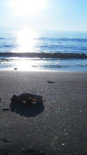 Sun, Sea, Light Full HD Wallpapers Download