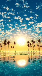 Sunny Full HD Wallpapers Free Download
