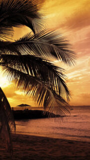 Sunset At The Bay Wallpapers Free Download