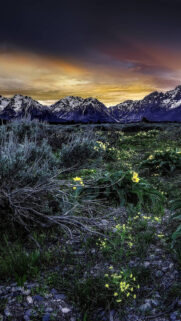 Sunset Mountains Field Flowers Wallpapers Free Download