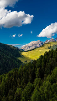 Trees, Mountains, Clouds, Summer Free Wallpapers Download