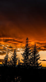 Trees, Sunset, Sky Wallpapers Download