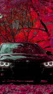 4K Ultra HD BMW F30 335i Series Wallpapers For Mobile
