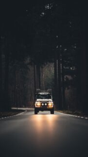 Auto Road Evening Fog Trees Wallpapers Free Download