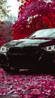 BMW F30 320d GT Wallpapers Download