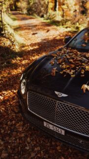 Bentley Continental GT Wallpapers Free Download