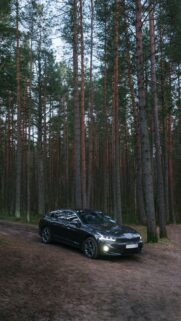Car Black Forest Image Wallpapers Free Download