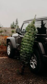 Car Christmas Tree Wallpapers Free Download for Phone