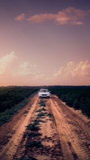 Car Road Field Wallpapers Download for Phone