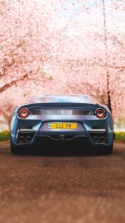 Ferrari 599 Series Wallpapers Free Download