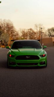 Ford Mustang Monster Car Wallpapers Free Download