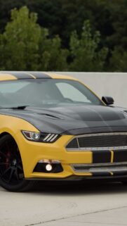 Ford Mustang Shelby GT Wallpapers Free Download