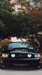 Ford Mustang Sports Wallpapers Download