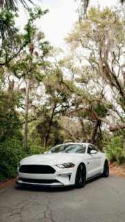 Ford Mustang White Car HD Wallpapers Free Download