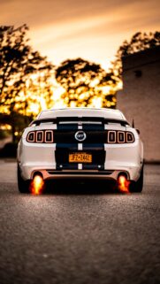 Ford Sportscar Wallpapers Free Download for Mobile Background