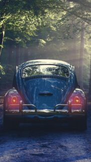Forest & Retro Car Full HD Wallpapers Free Download