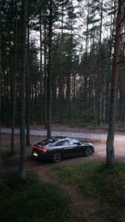 Great Forest & Car Wallpapers Free Download