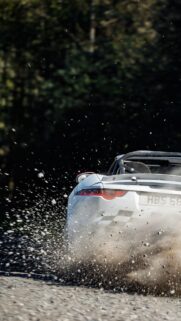 Jaguar Car Free Download for Phone & iPhone