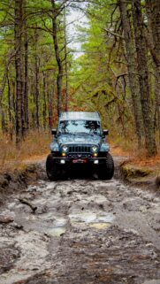 Jeep Wrangler Jungle Series Wallpapers Download for You