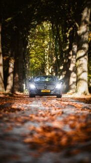 Mercedes Nature Wallpapers Free Download for Mobile