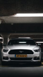 Muscler Car Ultra HD Wallpapers Free Download