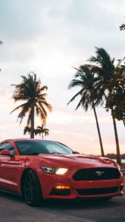 Mustang Lovers for Wallpapers Free Download