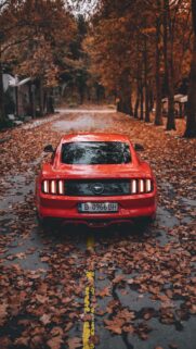 Orange Ford Mustang Car Wallpapers Free Download