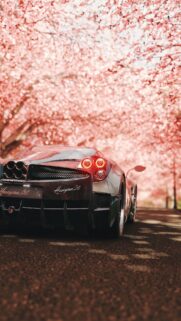 Pagani Huayra Super Sports Car Wallpapers Free Download