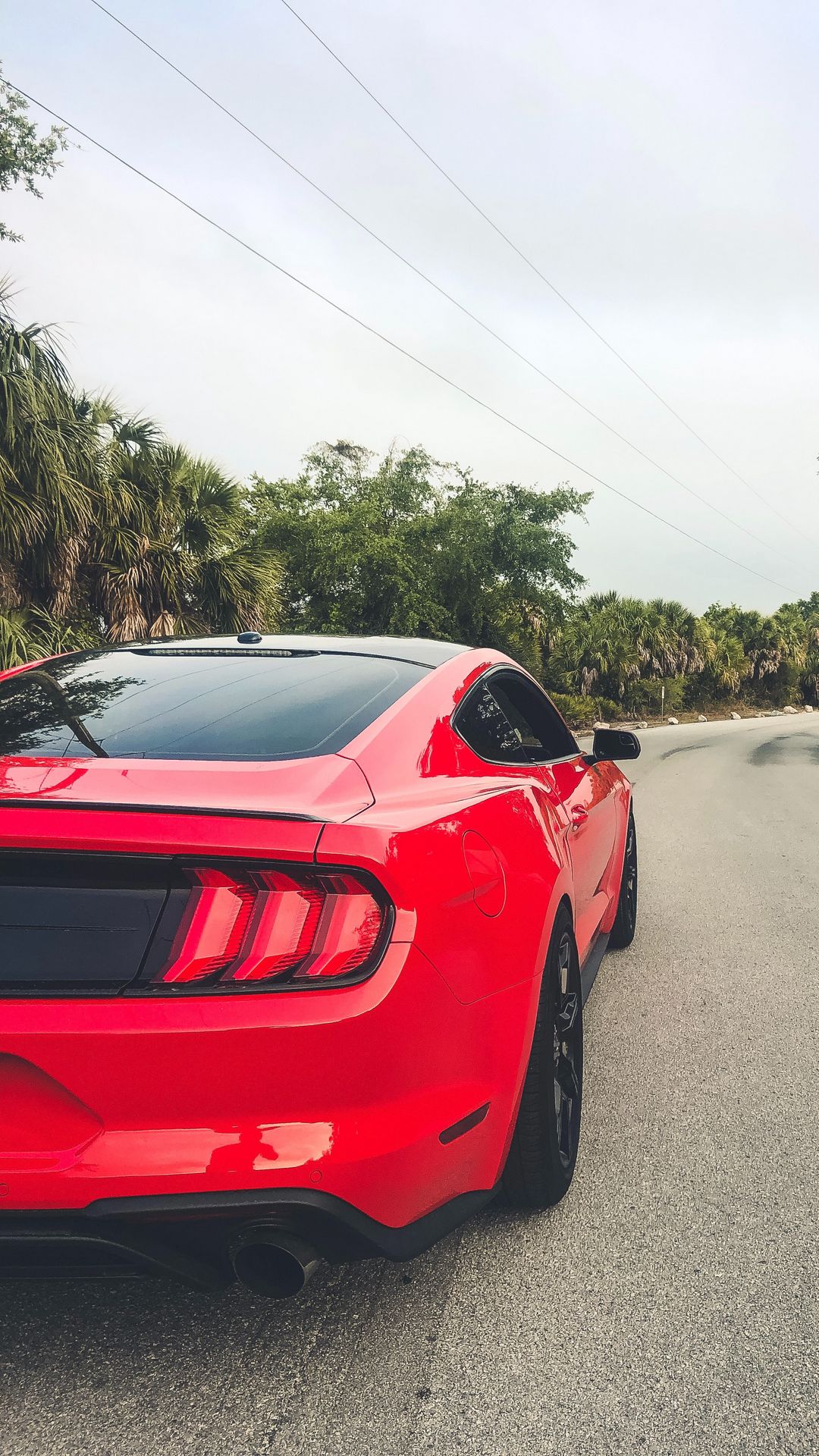 Red Ford Mustang Wallpapers Free Download