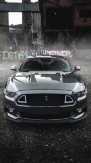 Shelby Mustang Wallpapers Free Download