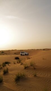 Suv Car Wallpapers Free Download