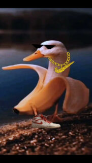 Banna Duck Memes Wallpapers Free Download