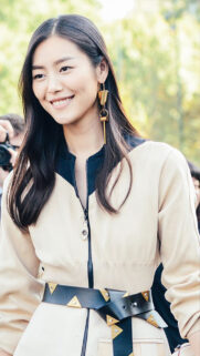 Beautiful Girl Liu Wen Wallpapers Download