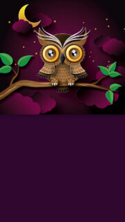 Cartoon Owl Wallpapers Free Download