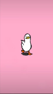 Cute Duck Meme Wallpapers Free Download