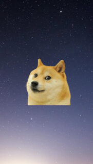 Dog Meme Wallpapers Free Download