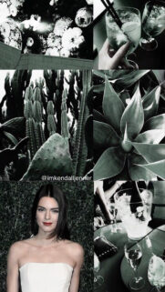 Kendall Jenner Wallpapers Download for iPhone