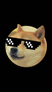 Memes Dog Wallpapers Free Download for Mobile