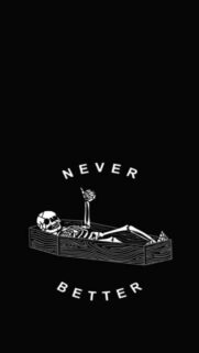 Never Better Funny Memes Wallpapers Download