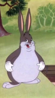 Rabbit Meme Wallpapers Free Download