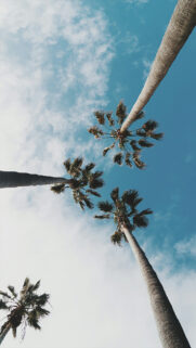 Samsung Galaxy S8 Plus Wallpapers – Samsung Wallpaper