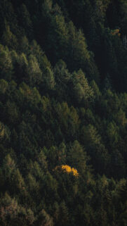Apple iPhone 15 Pro Wallpapers Download