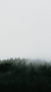 iPhone 14 Pro Background Wallpapers