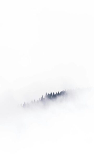 Foggy Landscape with Trees in the Distance