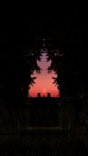 A Peaceful Nighttime View of the Moon